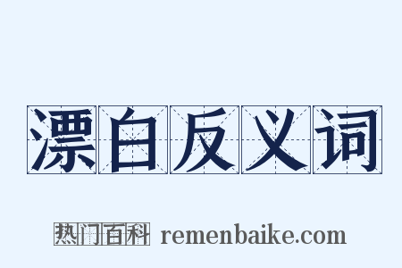 漂白反义词是什么意思的图片